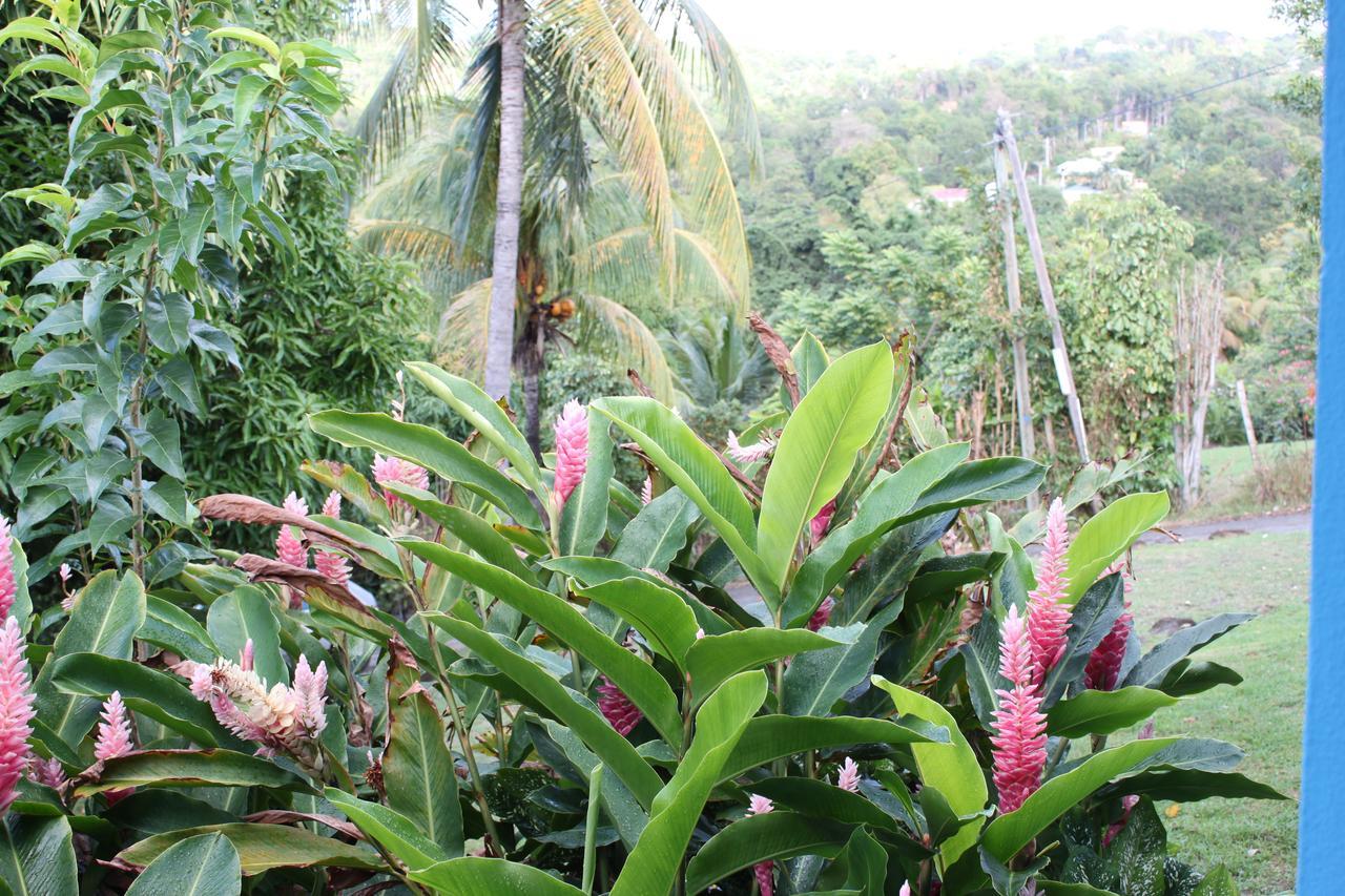 Coeur Caraibes Village de vacances