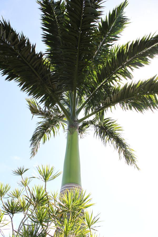 Vakantiepark Coeur Caraibes Deshaies